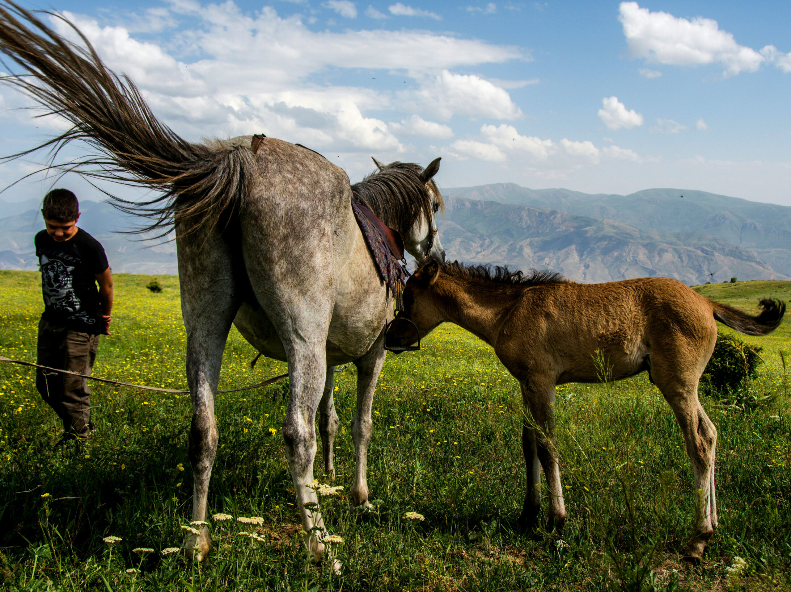 historical legacy of the Silk Road