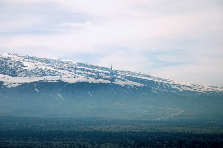 A wide landscape view of a snowy mountain range in Turkmenistan under a hazy blue sky, with a sparse evergreen forest in the foreground.