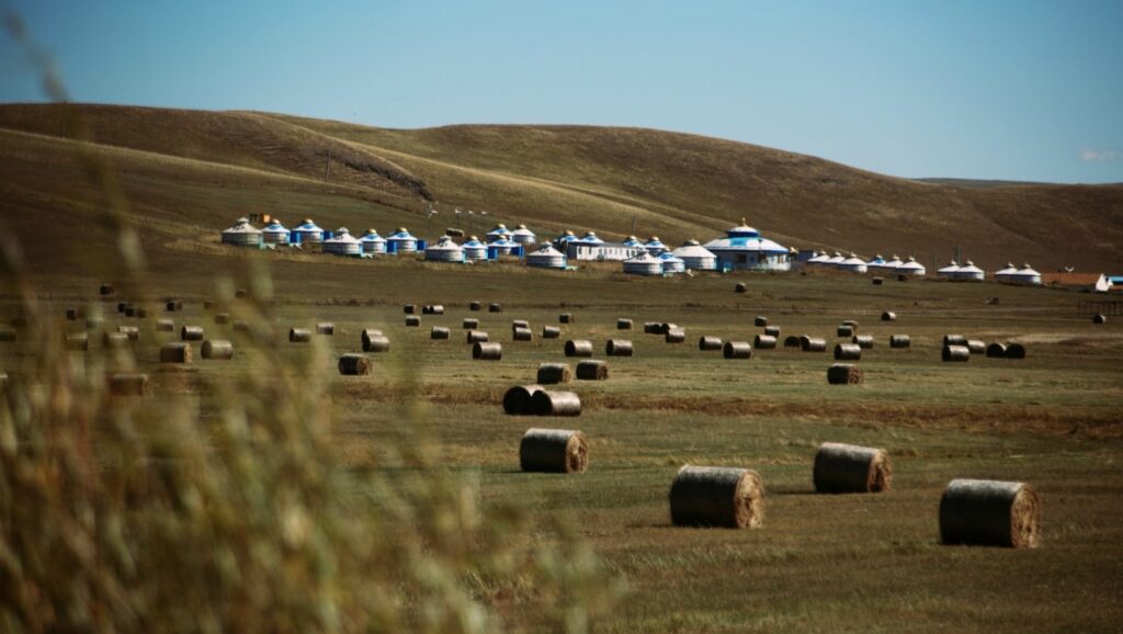A wide view of the Eurasian Steppe featuring rolled hay bales in a field with a cluster of traditional white yurts and rolling hills in the background.